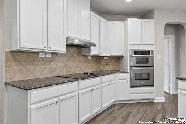 100 Hinge Chase, Cibolo, Texas image 6