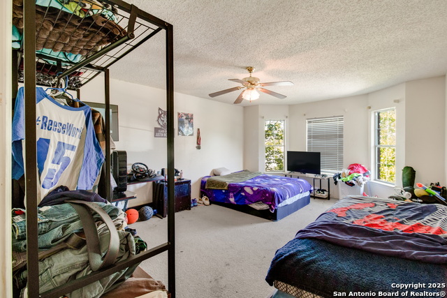 1617 Willow Top Dr, Schertz, Texas image 24