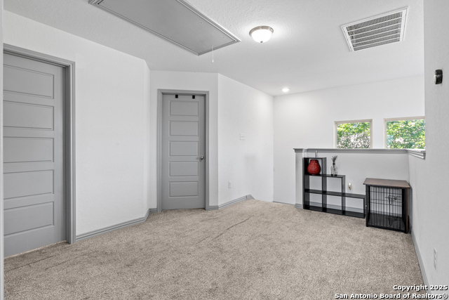9722 Acadian, San Antonio, Texas image 17