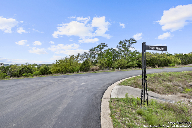 1324 Pinot Grigio, New Braunfels, Texas image 6