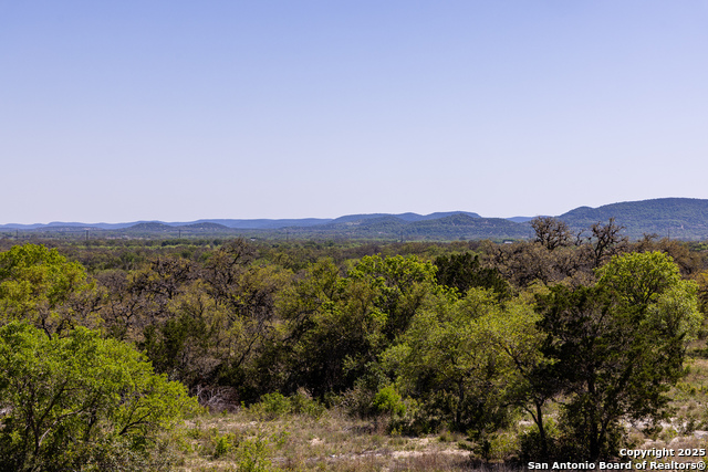 816 Cornelius Road, Utopia, Texas image 14