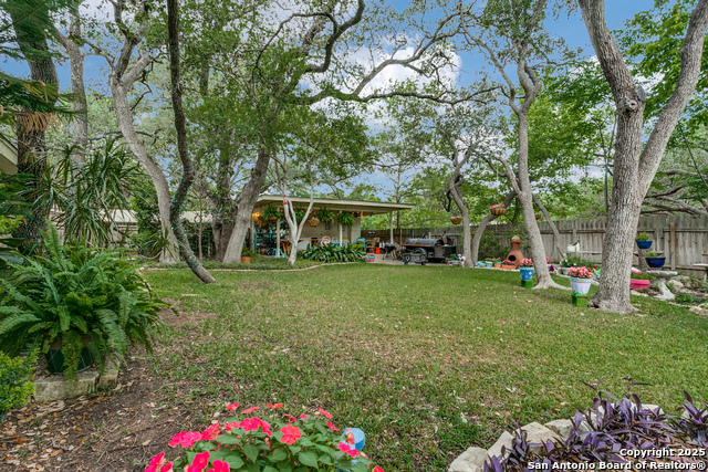 261 Cave, San Antonio, Texas image 33