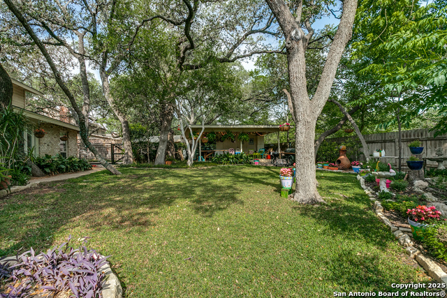 261 Cave, San Antonio, Texas image 35