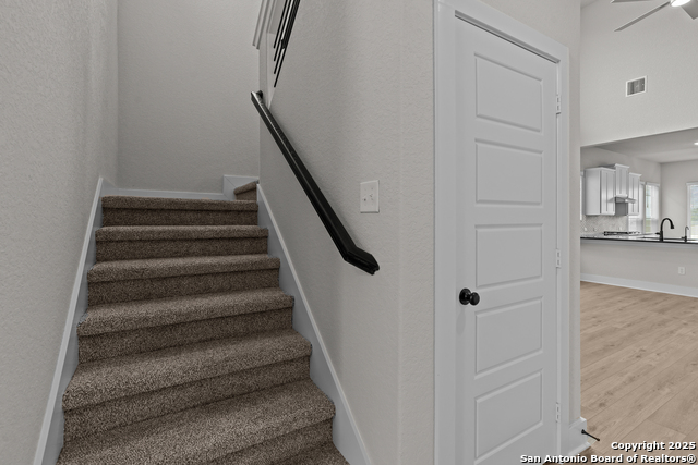 123 Bailey Bluff, San Antonio, Texas image 29