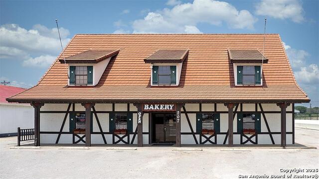257 Lacey Oak, Castroville, Texas image 4