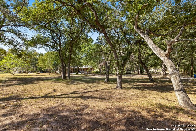 296 Wolf Ln, La Vernia, Texas image 36