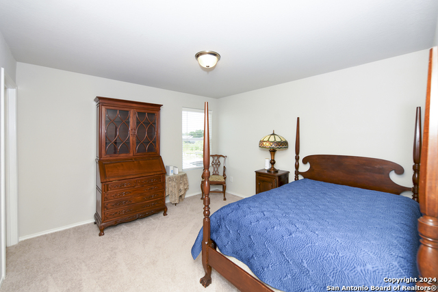 318 Saiga Dr, New Braunfels, Texas image 27