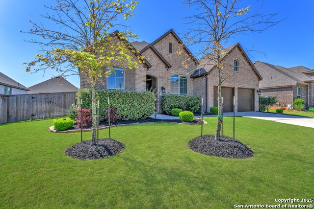 13124 Hallie Dawn, Schertz, Texas image 3