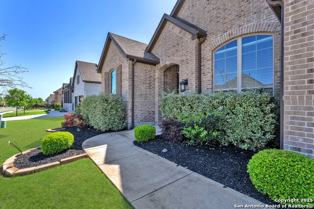 13124 Hallie Dawn, Schertz, Texas image 4