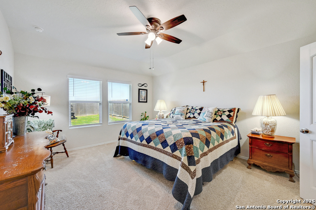 480 Desert Willow, Seguin, Texas image 15