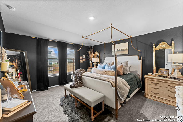 148 Hogans Alley, Floresville, Texas image 12
