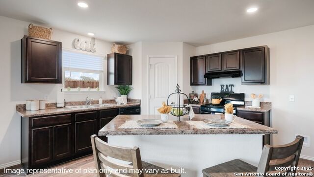 1131 Andean Emerald, San Antonio, Texas image 13