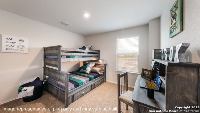 1131 Andean Emerald, San Antonio, Texas image 29