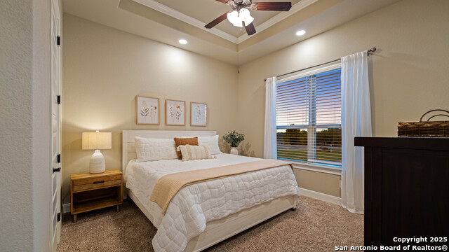 1017 Stradina, New Braunfels, Texas image 21