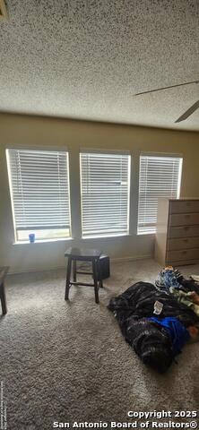 8302 Morning Grove, Converse, Texas image 17