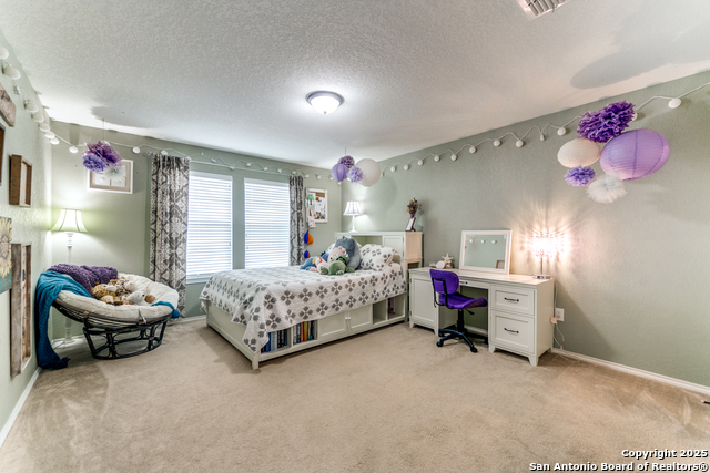 104 Mustang Run, Boerne, Texas image 22