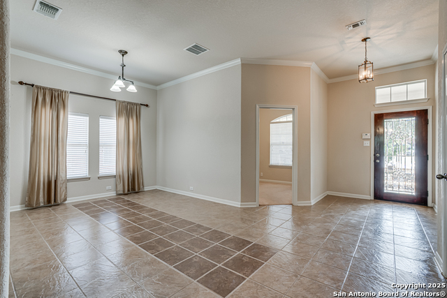 3326 Collin Cv, San Antonio, Texas image 7