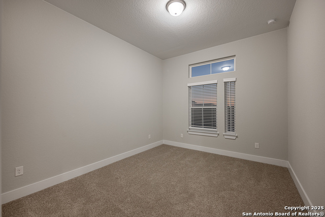 103 Highland Park, Castroville, Texas image 18