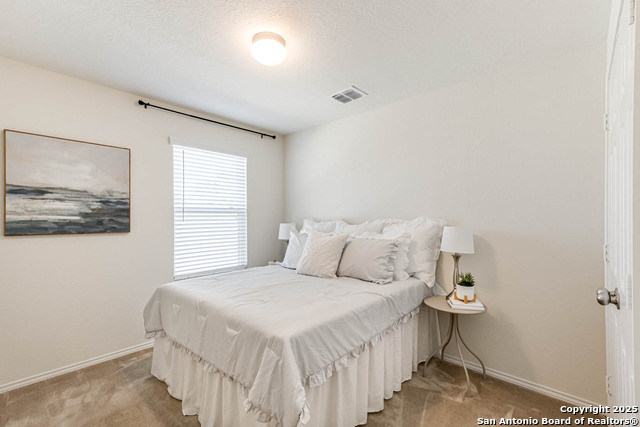 331 Salz Way, San Antonio, Texas image 30