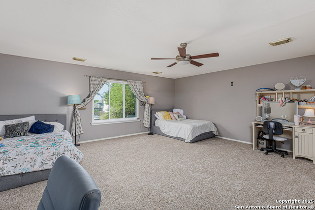 1643 Sunnycrest, New Braunfels, Texas image 18