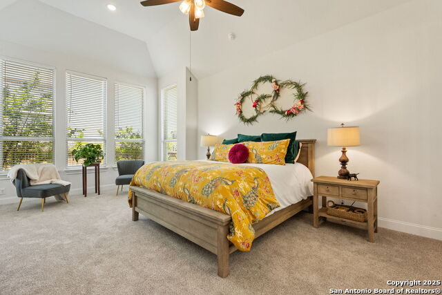 28523 Vogelsdorf, Boerne, Texas image 15