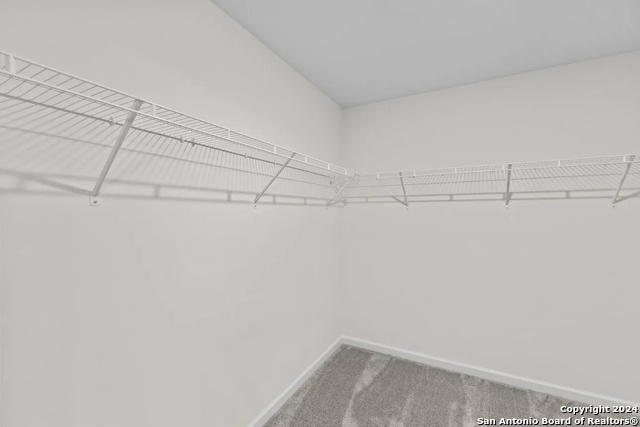 10137 Peppercorn Place, Schertz, Texas image 16