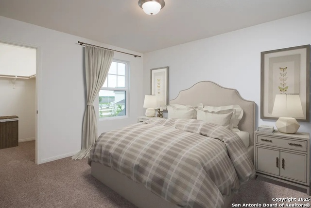 10133 Peppercorn Place, Schertz, Texas image 12