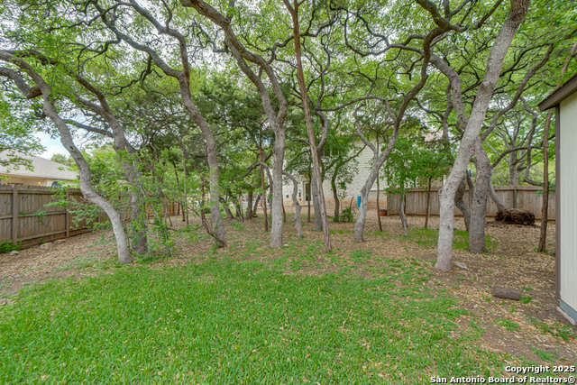 8639 Cantua Creek, Helotes, Texas image 46