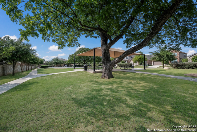 9611 Bricewood Tree, San Antonio, Texas image 36