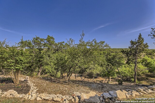1504 Redcloud Peak, Canyon Lake, Texas image 43
