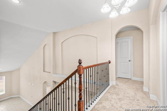 213 Nomad, Cibolo, Texas image 28