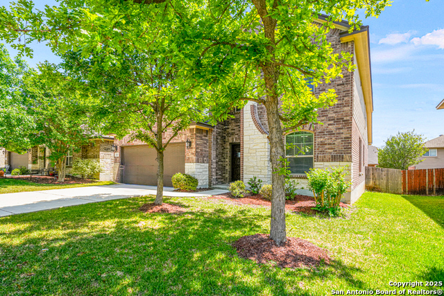 213 Nomad, Cibolo, Texas image 4