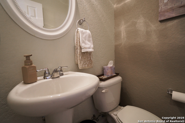 721 Torrey Pines, Cibolo, Texas image 16