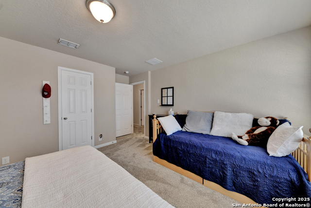 721 Torrey Pines, Cibolo, Texas image 29