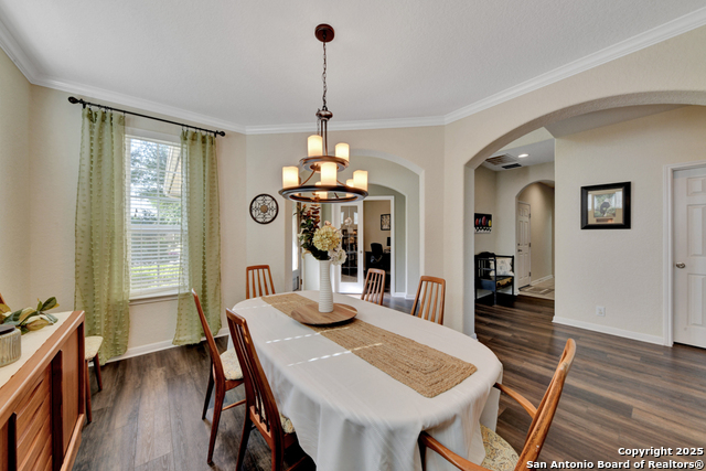 721 Torrey Pines, Cibolo, Texas image 6