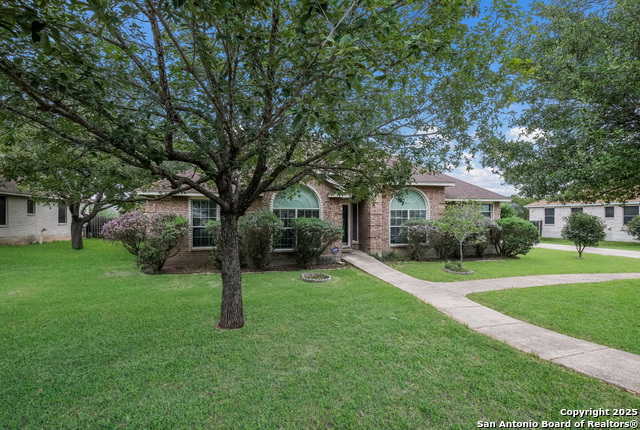 113 River Knoll, Castroville, Texas image 2