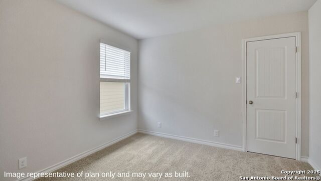 260 Squacco Heron, San Antonio, Texas image 16