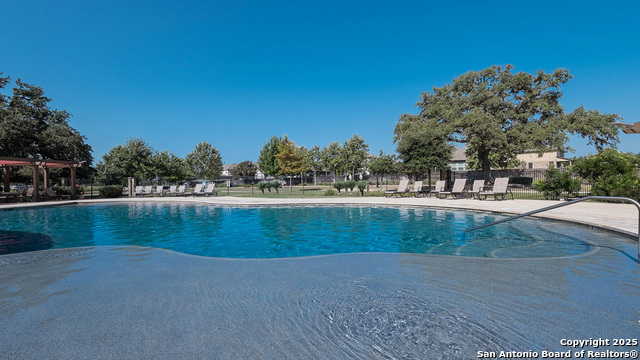 260 Squacco Heron, San Antonio, Texas image 35