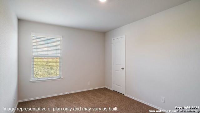 1160 Andean Emerald, San Antonio, Texas image 23