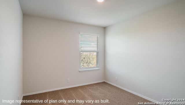 1160 Andean Emerald, San Antonio, Texas image 3