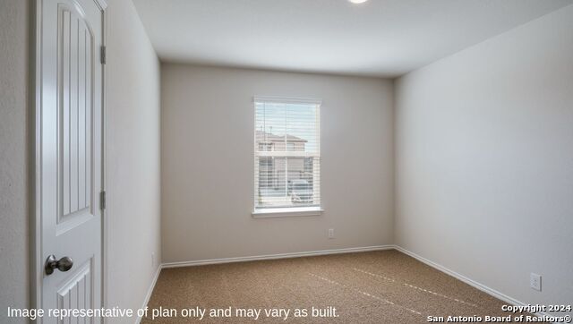 1160 Andean Emerald, San Antonio, Texas image 5