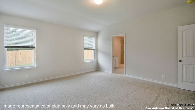 220 Squacco Heron, San Antonio, Texas image 13