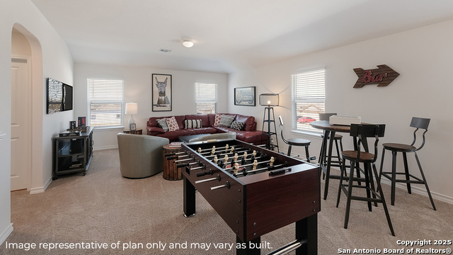 230 Squacco Heron, San Antonio, Texas image 17