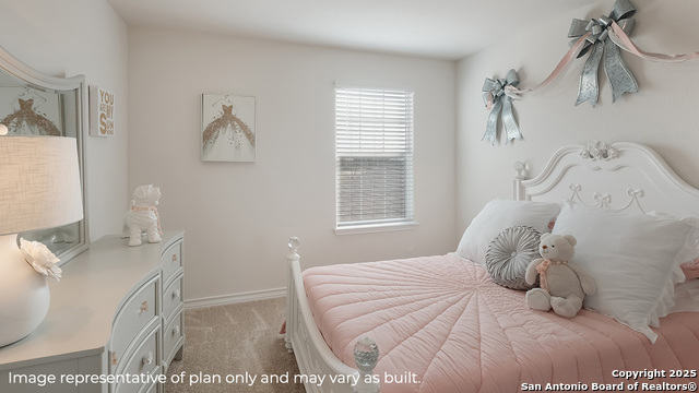 230 Squacco Heron, San Antonio, Texas image 19