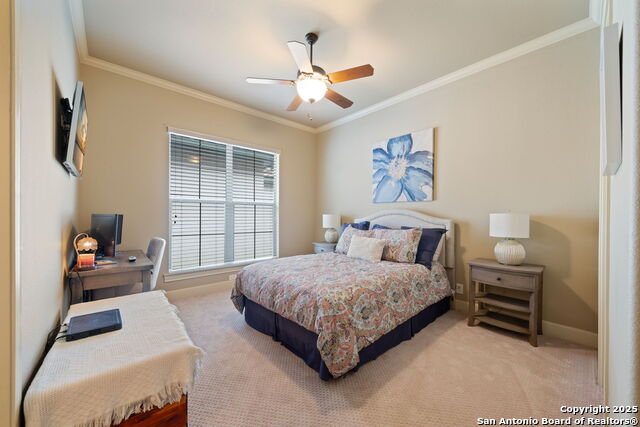 319 Geddington, Shavano Park, Texas image 24