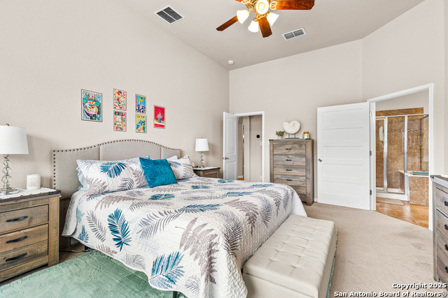 917 Miraflores, Cibolo, Texas image 25
