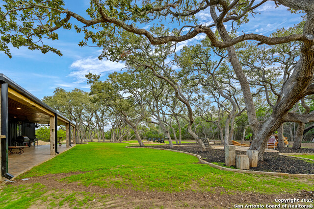 650 Eden Estates, New Braunfels, Texas image 34