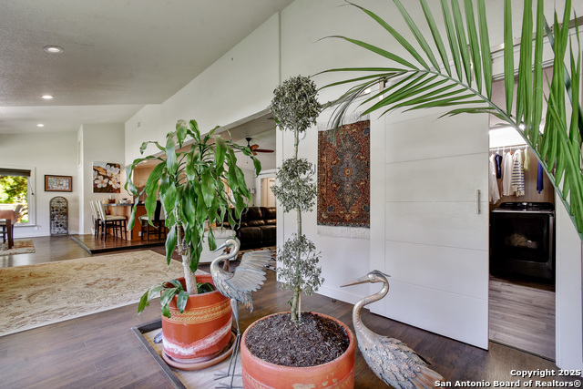 1340 Hinch, New Braunfels, Texas image 11