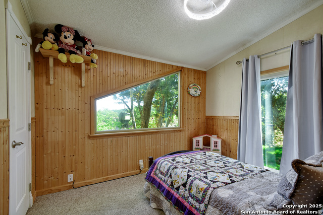 1340 Hinch, New Braunfels, Texas image 13