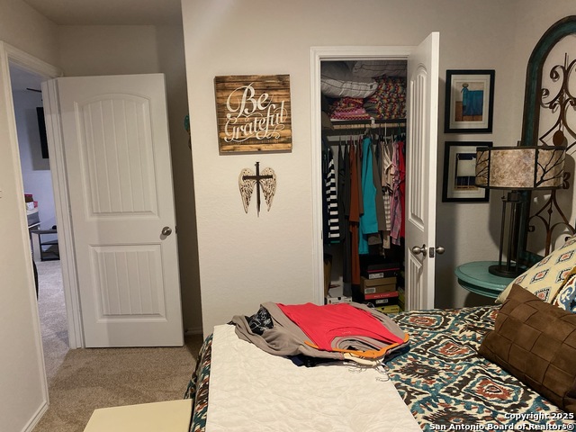 437 Signe, Seguin, Texas image 26